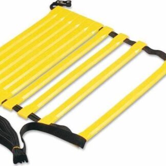 Adjustment & Balance Ladder Amila 4m